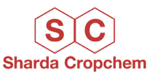 ekranna snimka 2024-03-11 170245