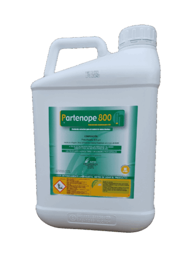 viber_izobrazhenie_2025-02-14_08-07-44-398