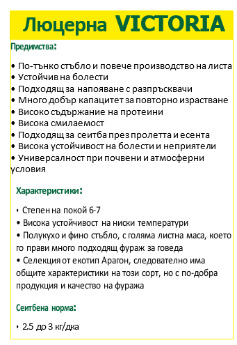 ekranna snimka 2025-02-19 144404