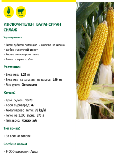 ekranna snimka 2025-03-10 111841