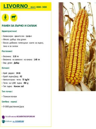 ekranna snimka 2025-03-10 113315