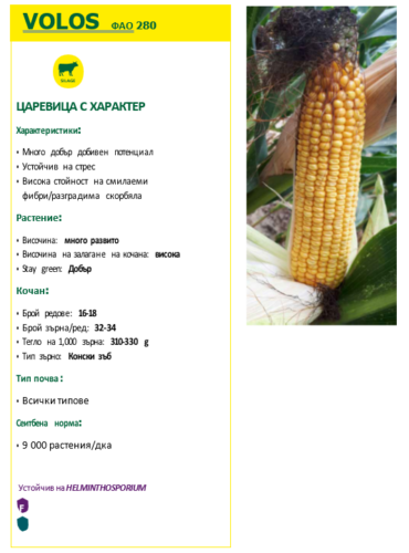 ekranna snimka 2025-03-10 113714